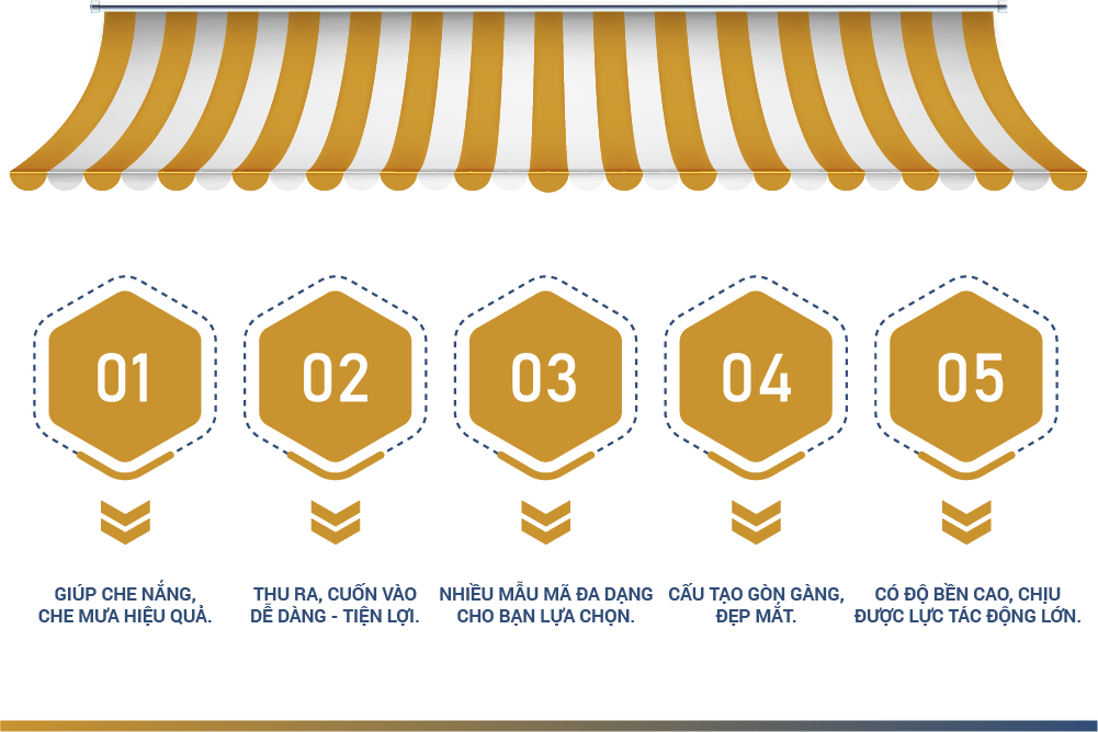 Asset 5 (1)